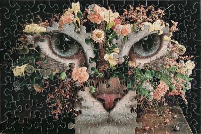 A Tim Klein jigsaw collage.