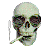 Arvo Zylo's avatar